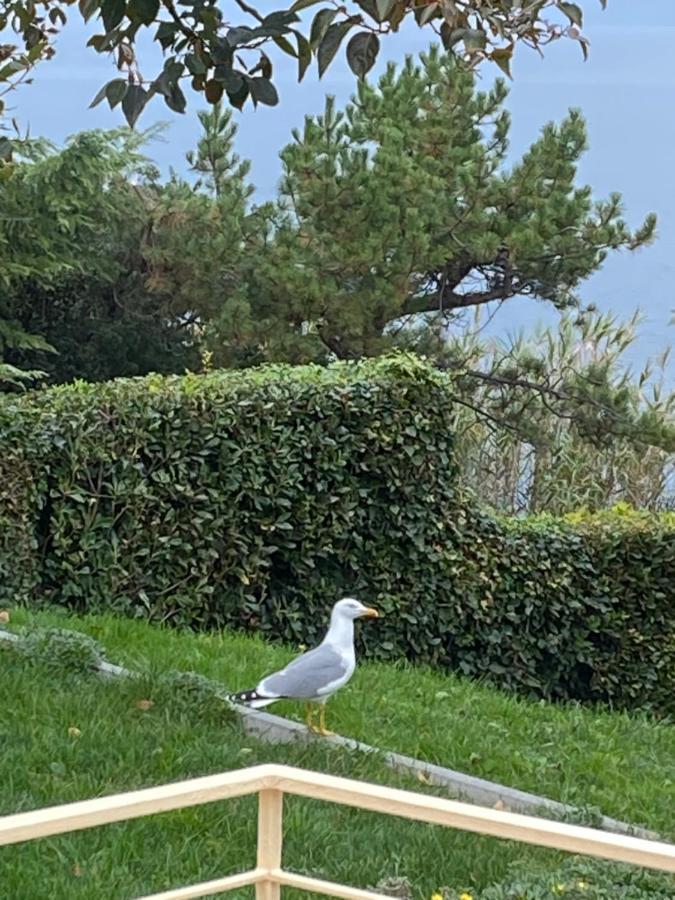 - Pocitniska Hiska V Fiesi, Сasa de vacaciones Piran